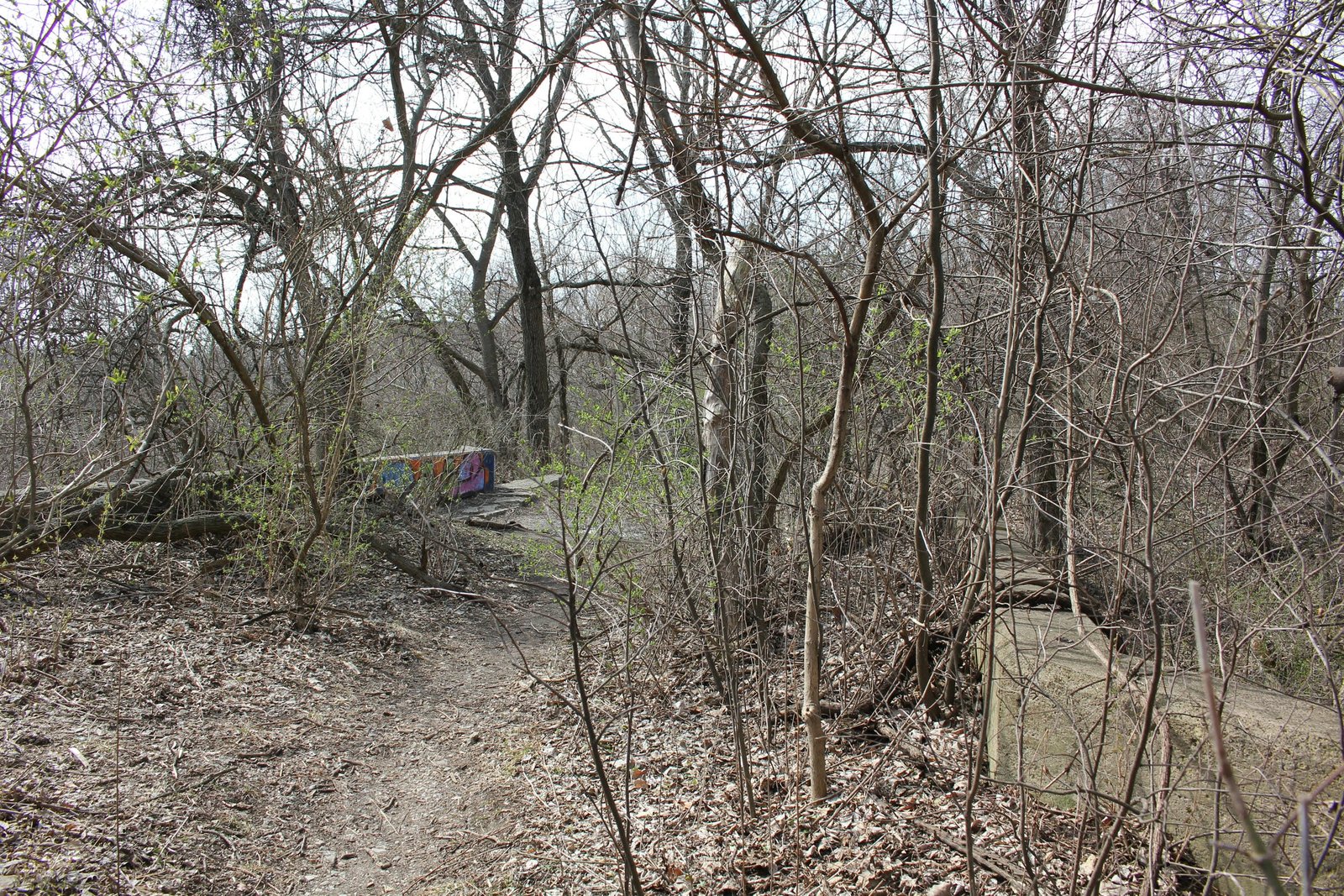 Looking south